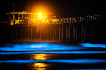 bioluminescence in california