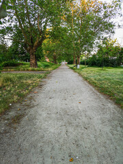 Fototapeta na wymiar Long path in park between trees, bushes and bench on side
