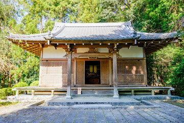 Fototapeta premium 京都 醍醐寺