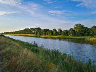 Coast near Odra river in Wroclaw with bushes and trees around