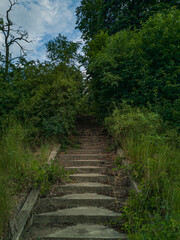 Fototapeta premium High concrete stairs to small forest near river
