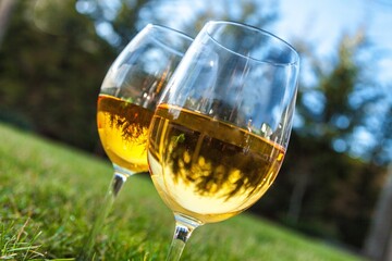 glasses of white wine