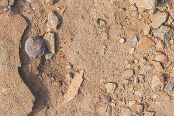 Extreme macro close up of surface Rock pattern. Stone texture and background. Rock Abstract Background