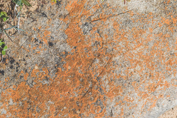 Extreme macro close up of surface Rock pattern. Stone texture and background. Rock Abstract Background