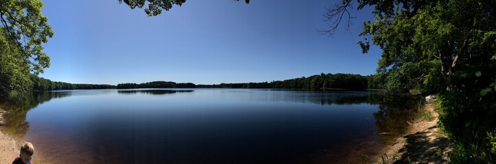 reflection of trees in the lake