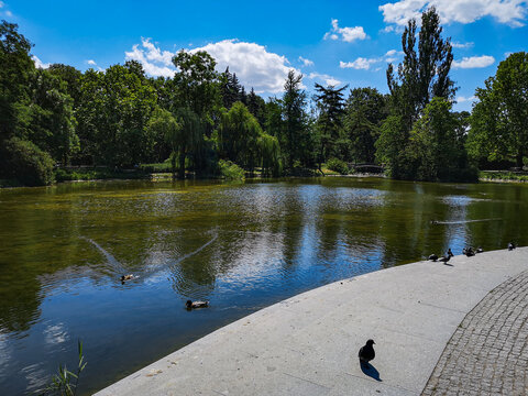 Big lake in Warsaw Ujazdowski Park with ducks and pigeons