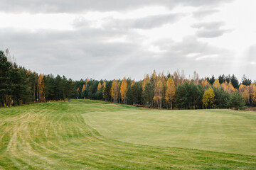autumn landscape with spruce grass and trees with forest lake