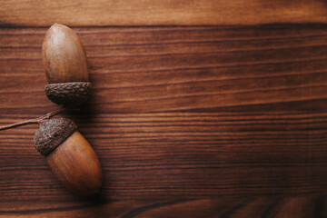 Autumn floral design greeting card. Fall oak acorn on wooden surface. Thanksgiving day, seasonal...