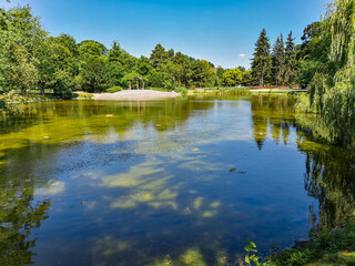 Fototapeta na wymiar Green lake in park with trees around at sunny day