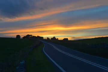 Dark blue road leads to a thicket of trees under a strong orange sunset.