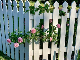 Folkart white picket fence pink strawberry rambling roses