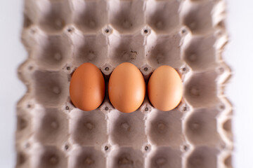 lonely egg over an empty egg carton view from above