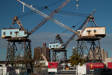 Dancing Crane with nyc background