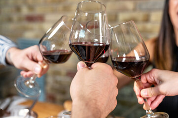 Celebration. Group of friends holding The Glasses Of Wine Making A Toast. High quality photo