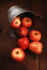 Fresh picked Gala Apples spilling from a metal bucket onto a rustic wood table with warm side light.