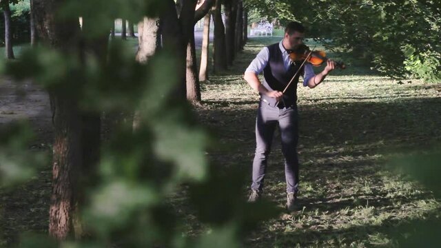 young man violinist plays the violin in the alley in the park sun