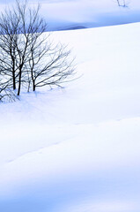Fototapeta na wymiar 冬の雪景色