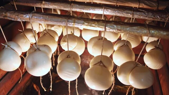 Smoked Cheese Balls Hanged in the Storage Room closeup, Tilt Up and Down. Homemade suluguni. Kitchen concept. Cooking time. Healthy nutrition. Lactic diet. Private eco farm business.