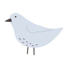 pigeon bird cartoon isolated design icon