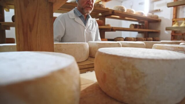 The process of making cow and sheep milky cheese wheel (round) closeup at manufacturing. Farm workers on background. Suluguni, parmesan, smoked cheeses, bri. Food business. Dairy products store. 4K