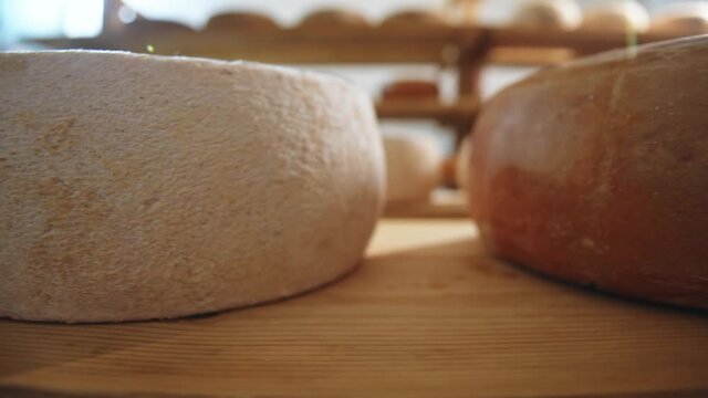 The cheese wheels in line on wooden manufacture shelves closeup. Dairy products industry. Milky country farm business. Agriculture department. Healthy food concept. Farm workers on background. 4K