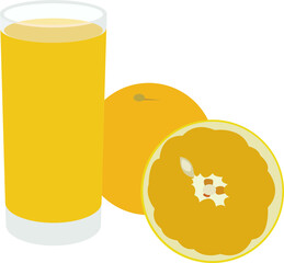 Orange juice vector. 