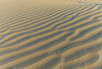 Closeup of beach texture, New Brighton beach, New Zealand, golden sand