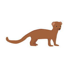 Mongoose Illustration