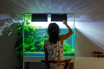 kid playing freshwater aquarium  at night