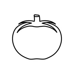 tomato vegetable icon, line style