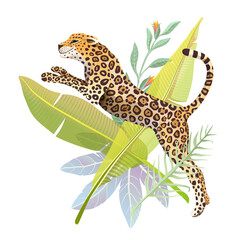 Obraz premium Realistic hand drawn Jaguar jump in jungle forest vector isolated design for t shirt print or poster. Exotic jungle and rainforest nature big wild cat panther illustration. Isolated animal design.
