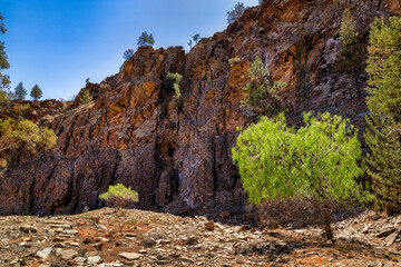 Parachilna Gorge in Flinders Range National Park, South Australia, Australia