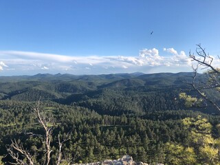 Buzzard's Roost Mid-Hike View