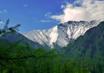 mount rainier national park
