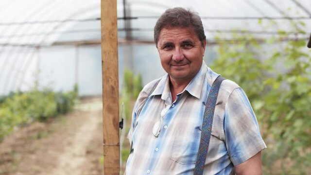 Portrait of positive middle-aged farmer staying in planting grape greenhouse. Gardener. Agronomy. Agriculture.