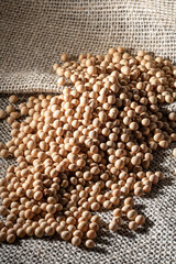 Brazilian soybean seeds on jute background with selective focus in Brazil