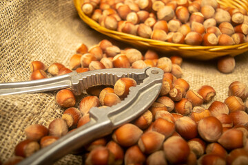 Hazelnuts in a wicker basket, a scattering of hazelnuts and a Nutcracker on the background of burlap with a rough texture. Close up.