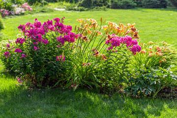 A beautiful flower bed in the backyard of a private house.