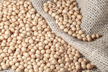 Brazilian soybean seeds on jute background with selective focus in Brazil