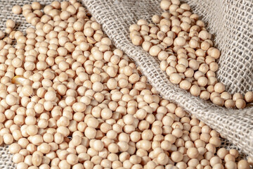 Brazilian soybean seeds on jute background with selective focus in Brazil