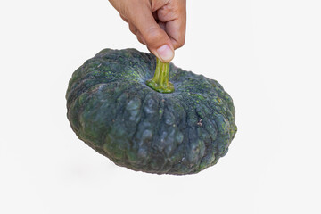 A hand is holding a pumpkin