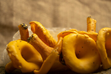 A pile of curly cookies in the form of chanterelle mushrooms on a homespun fabric with a rough texture. Close up.
