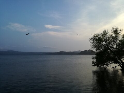Aves en atardecer