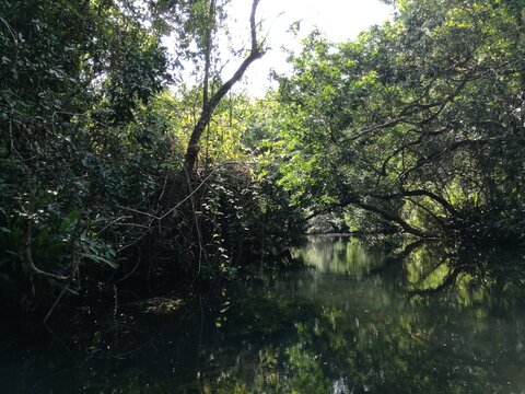 Sendero Acu&aacute;tico