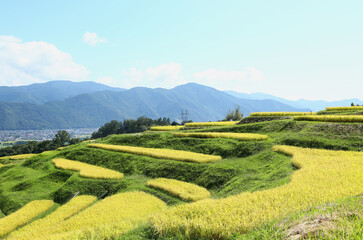 信州　姨捨の棚田