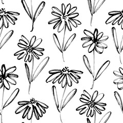 Brush flower vector seamless pattern. Hand drawn botanical ink illustration with floral motif. Chamomile or daisy painted by brush. Hand drawn black print for fabric, wrapping paper, wallpaper design