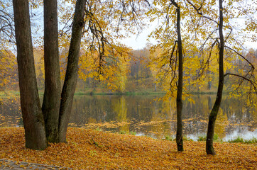 Autumn landscape with lake and trees in park during october morning
