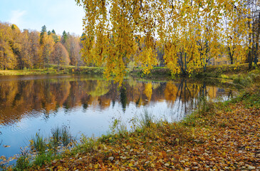 Autumn landscape with lake and trees in park during october morning