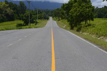 Road in National park with forest and mountain, Khao Yai national park, Thailand 