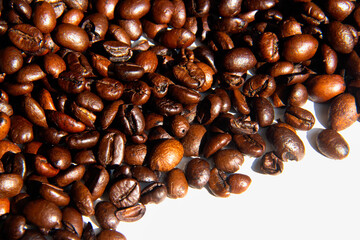 coffee bean texture background with white space 